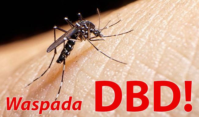 Demam Berdarah Dengue (DBD): Gejala, Diagnosis, dan Penanganannya